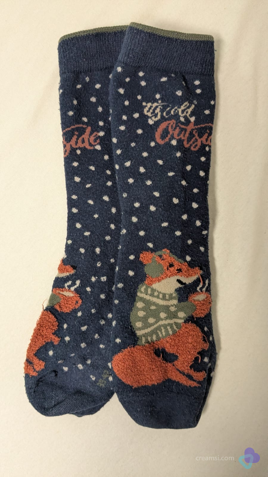 It’s cold outside… 🦊💙