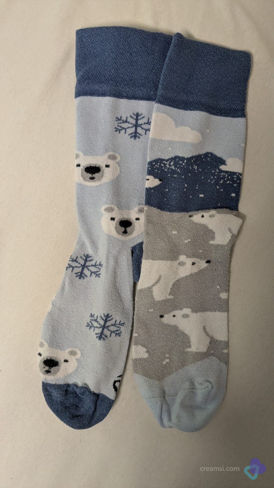 Lieblingspaar sucht ein neues Zuhause 🐻‍❄️❄️
