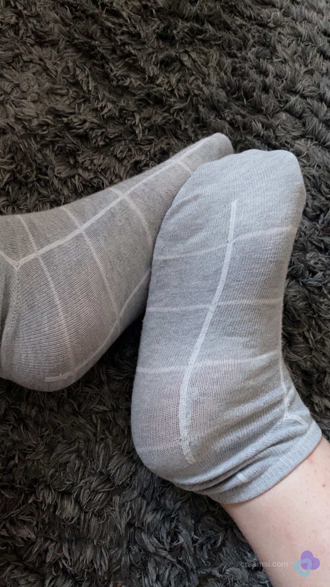 Klassische Sneaker Socken in Grau