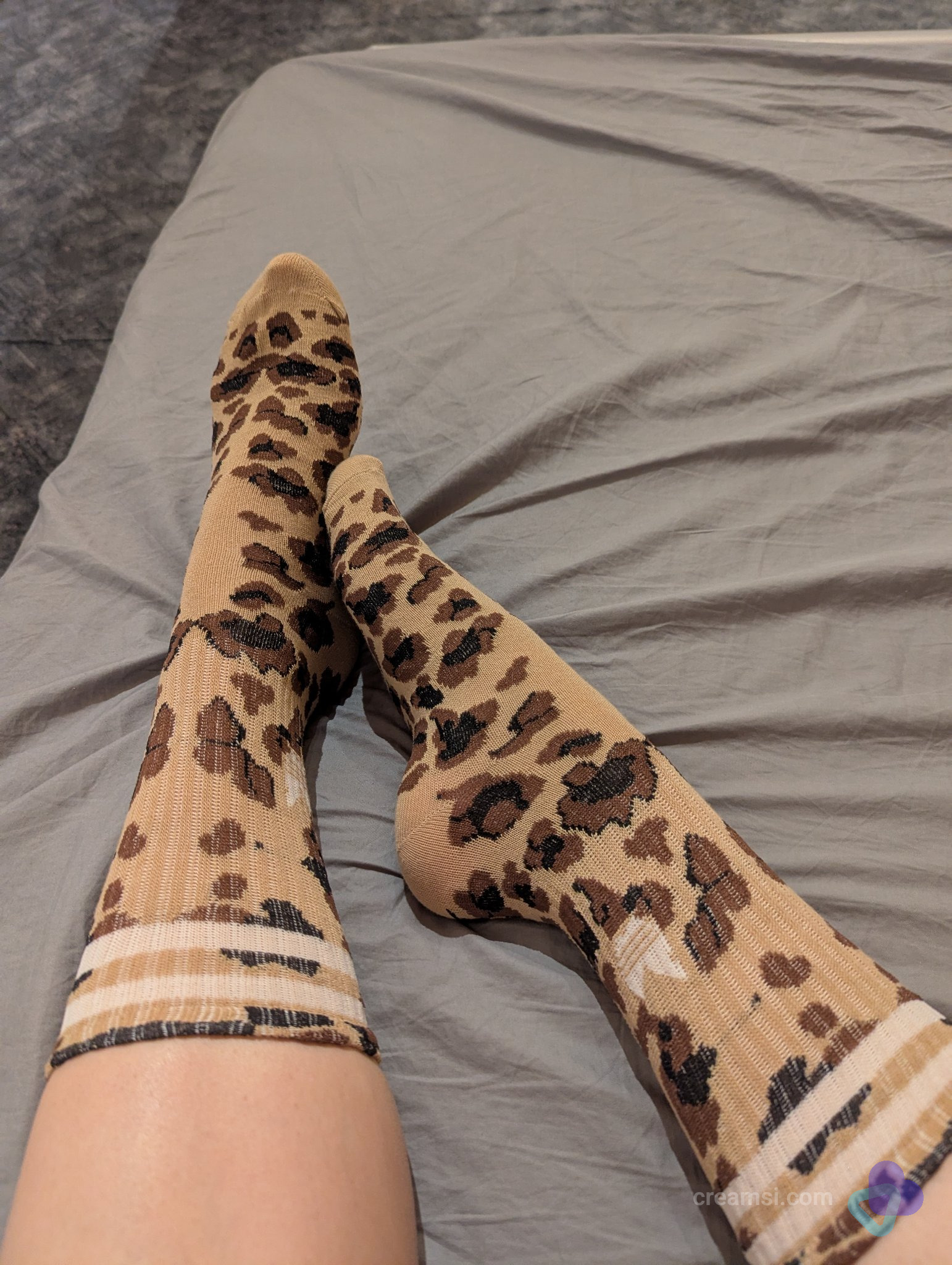 Leo Socken