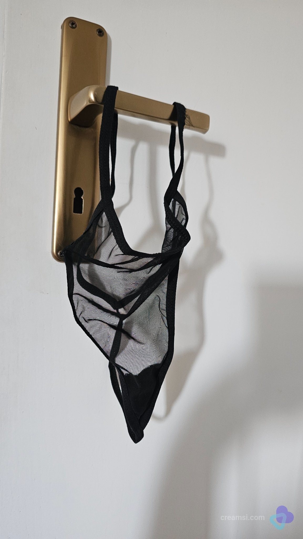 Shameless Party String