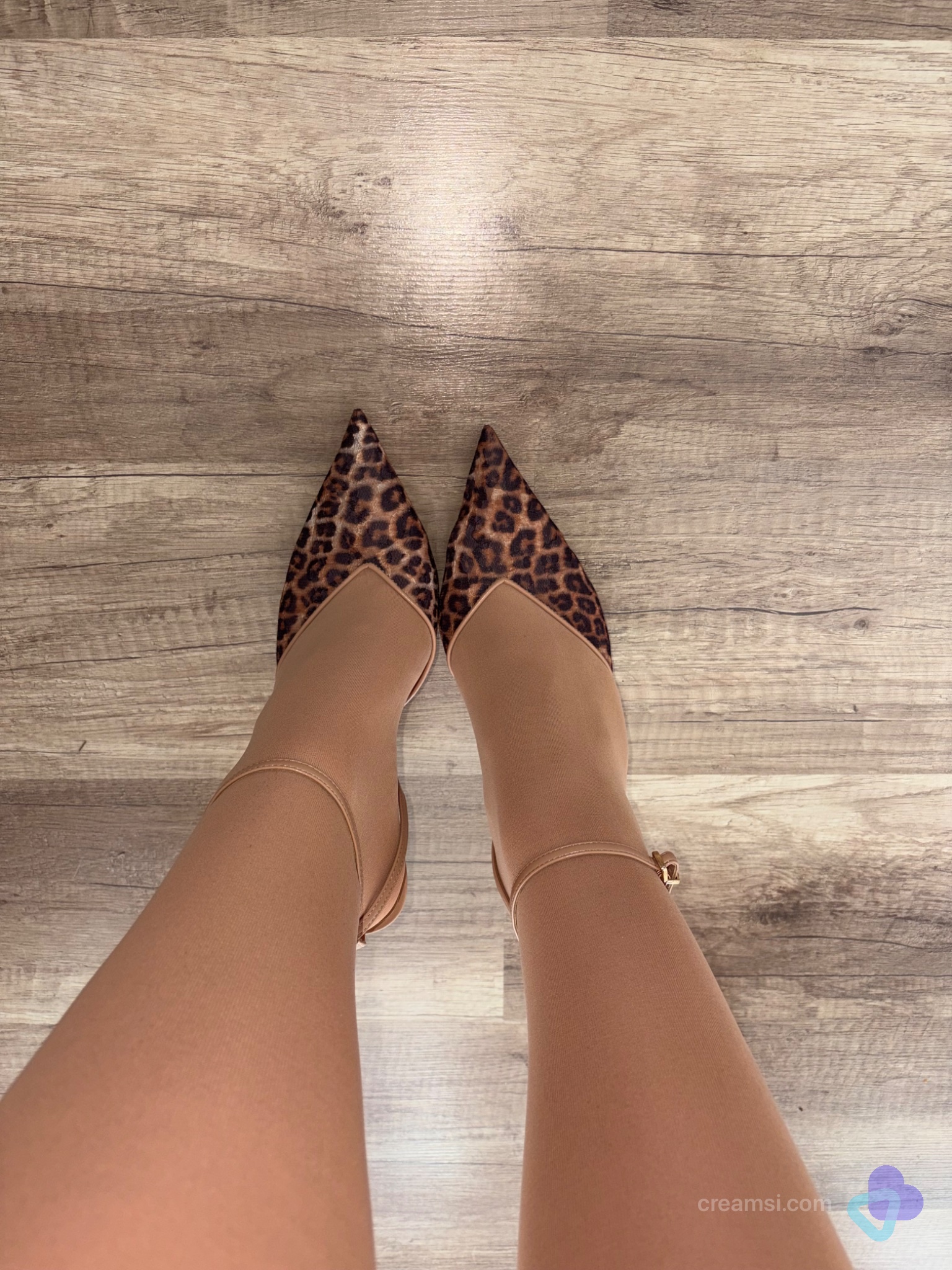 Leoparden Stiletto Pumps 🐆