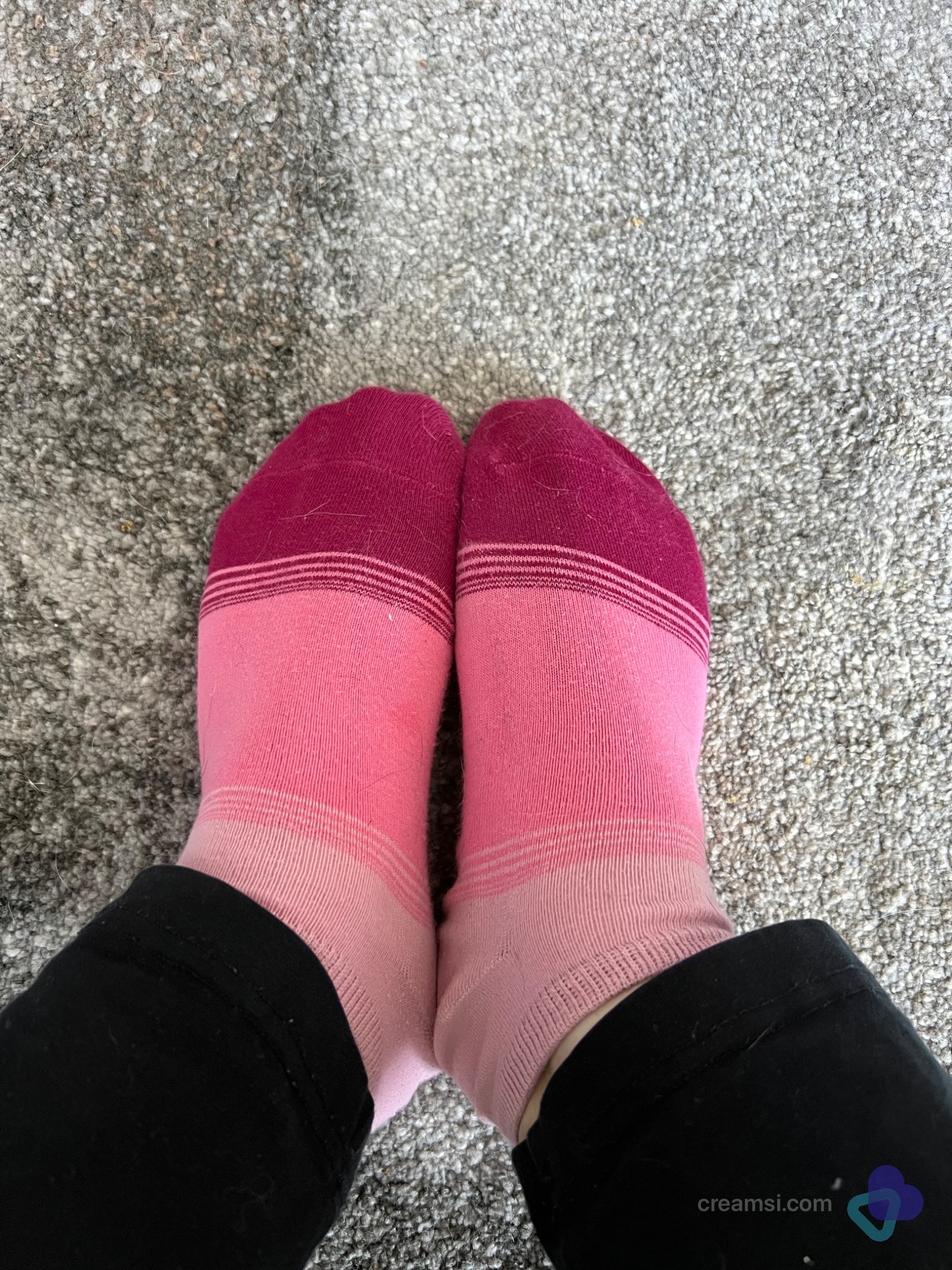 Sneaker Socken bunt , Größe 39 - getragen