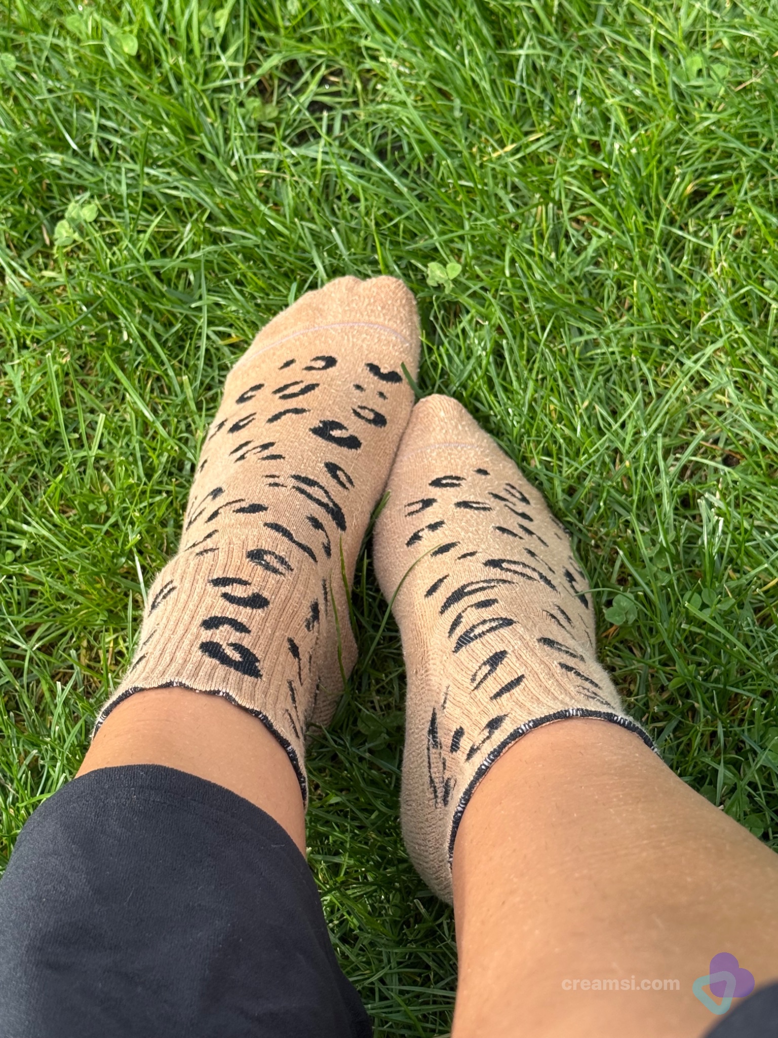 🐆 Beige Tiger-Socken | Größe 37